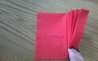 Как красиво сложить бумажные салфетки — фотоинструкции